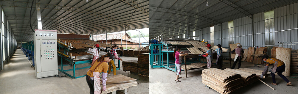 單板干燥機(jī)設(shè)備