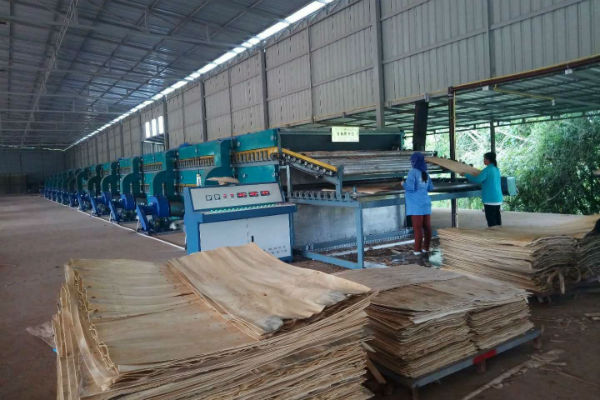 雙層單板烘干機 雙層單板烘干機